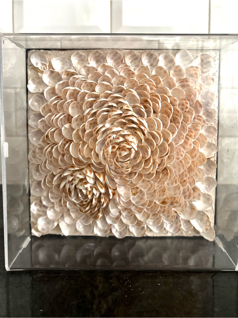 Framed Shell Flower Art in acrylic Handmade in Vietnam
